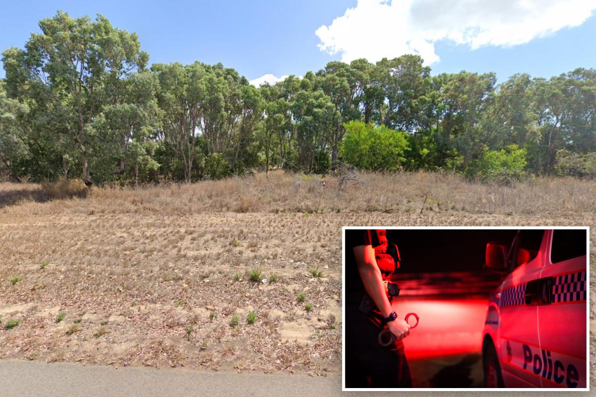 Shocking Orchestrated Attack: 11 Arrested After Teen Found Tied to Tree