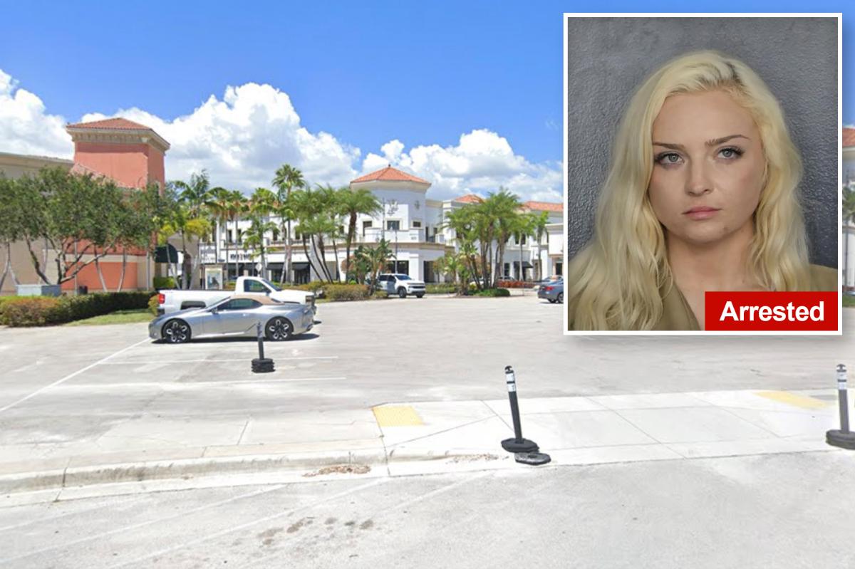 Florida Woman Allegedly Drugged Men to Steal Their Luxury Watches