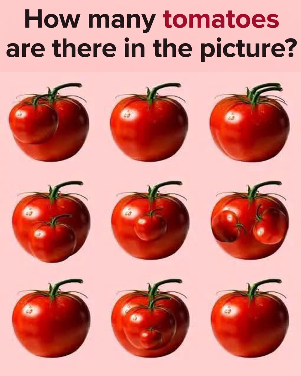 Why Counting These Tomatoes Is Trickier Than You Think