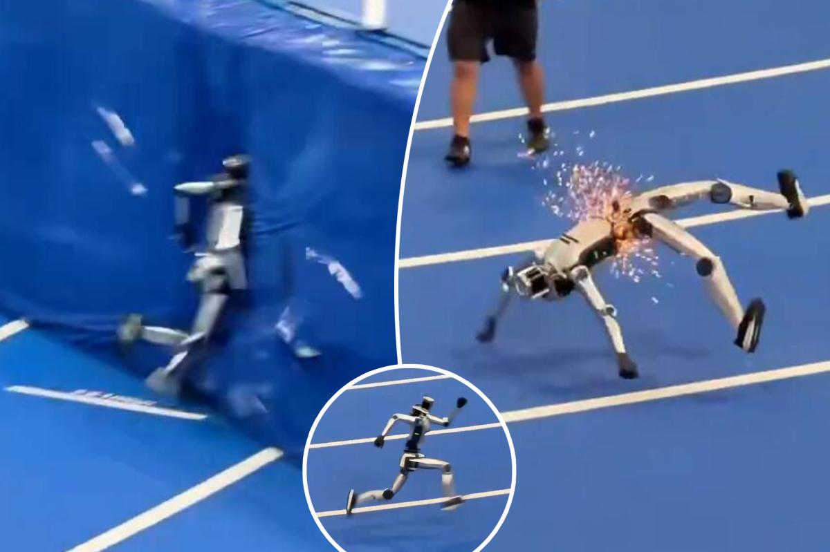 Humanoid Robot's Spectacular Crash at World Games Sparks Online Frenzy