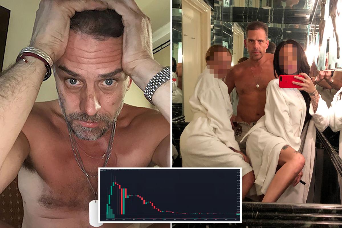 Hunter Biden's Meme Coin Drama: One Trader Strikes Gold Amid Chaos