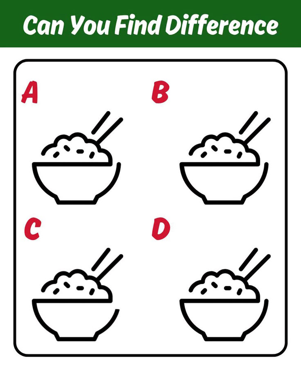 Can You Spot the Odd Rice Bowl Out? This Puzzle Has Everyone Stumped!
