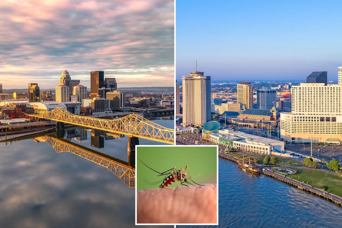 Why Mosquitoes Love These 10 U.S. States More Than Anywhere Else