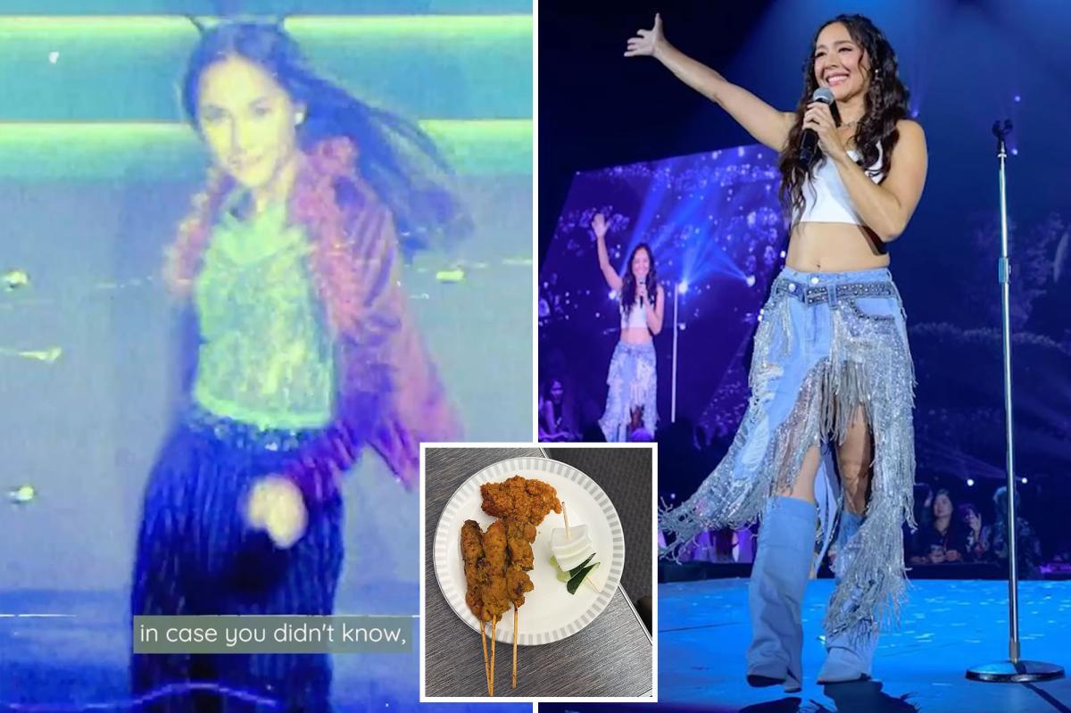 Former Pop Star's Lawsuit Against Airline After In-Flight Meal Mishap