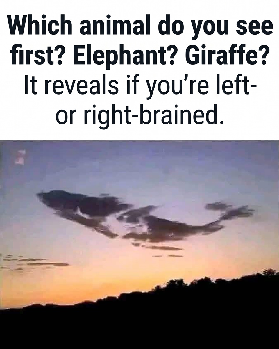 What Your First Animal Sighting Reveals About Your Personality