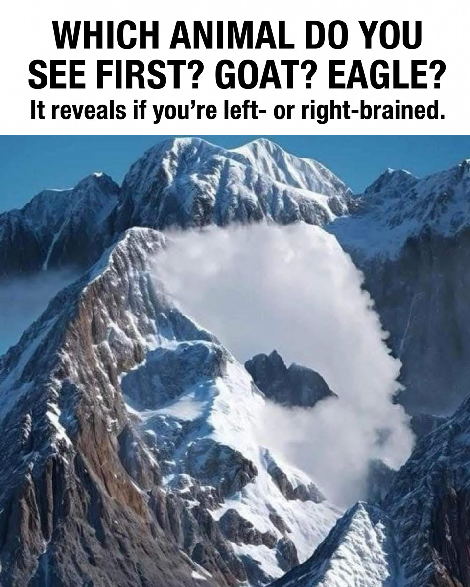 What Your First Animal Spot Reveals About Your Brain's Secrets