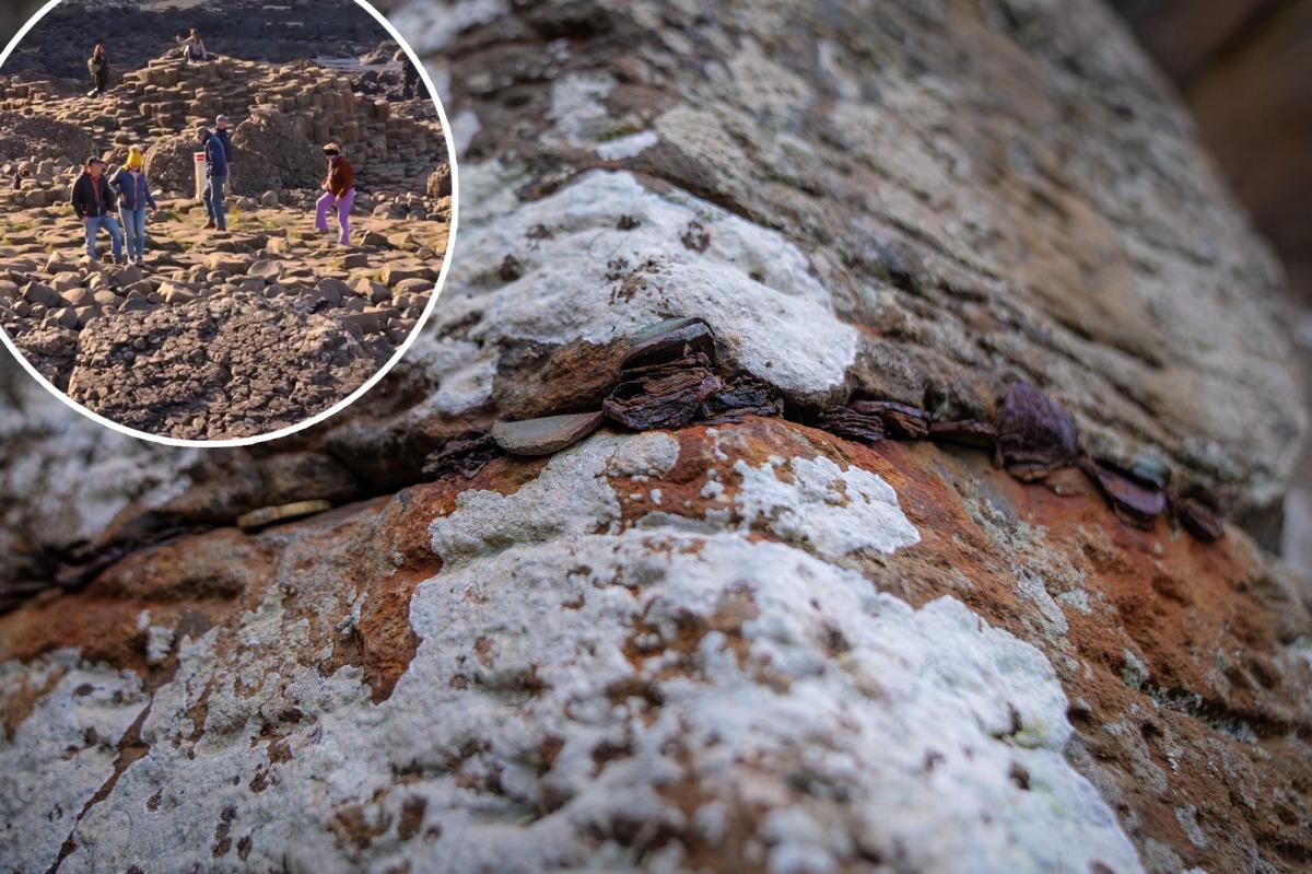 Tourists' Coin Chaos at Giant’s Causeway Sparks 200-Hour Rescue Mission