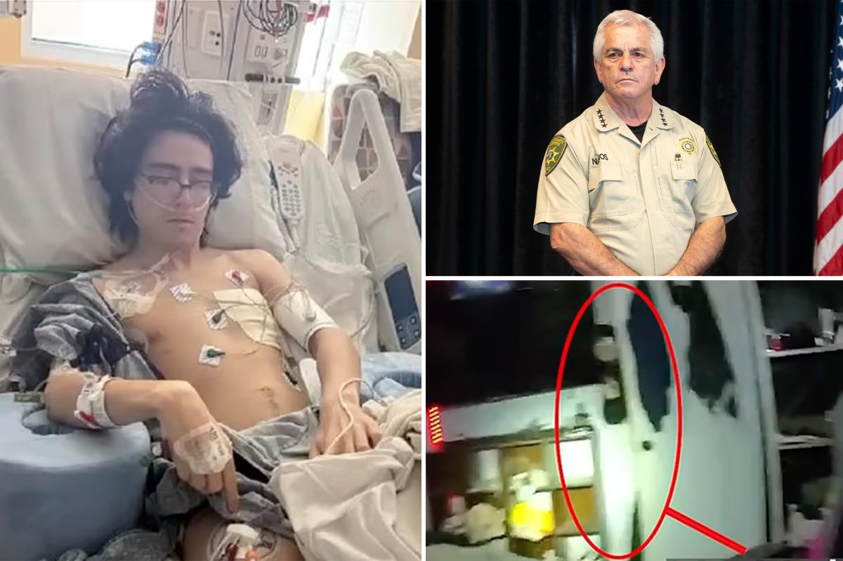 Sheriff Faces Backlash After $176 Million Lawsuit Over Swatting Incident