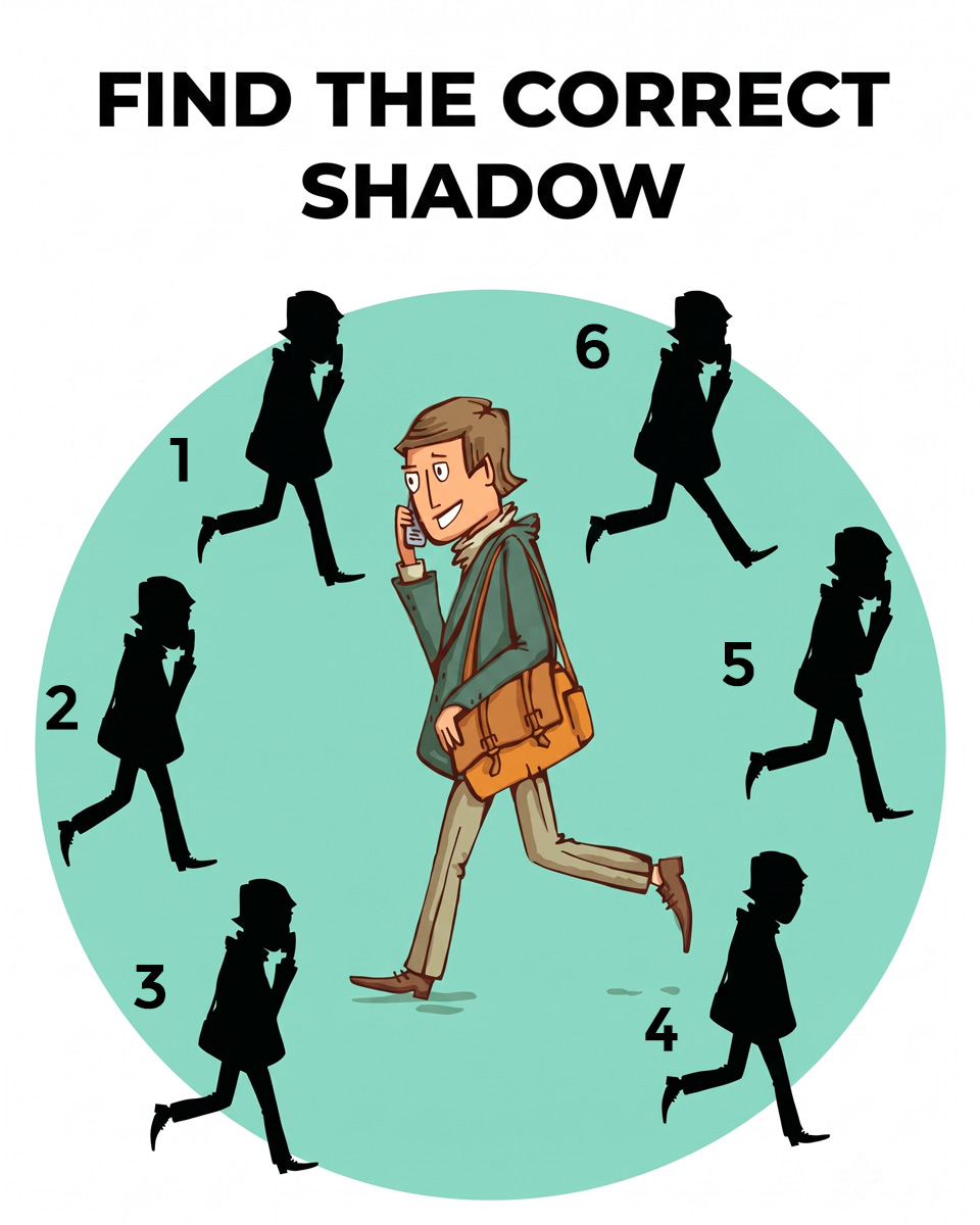 Can You Spot the Real Shadow of This Busy Man?