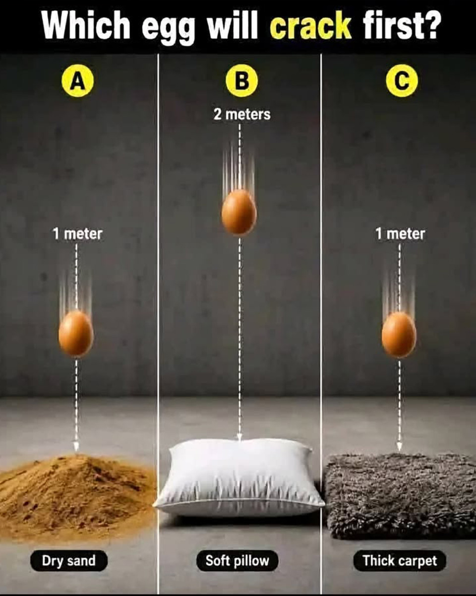 The Surprising Truth About Which Egg Cracks First