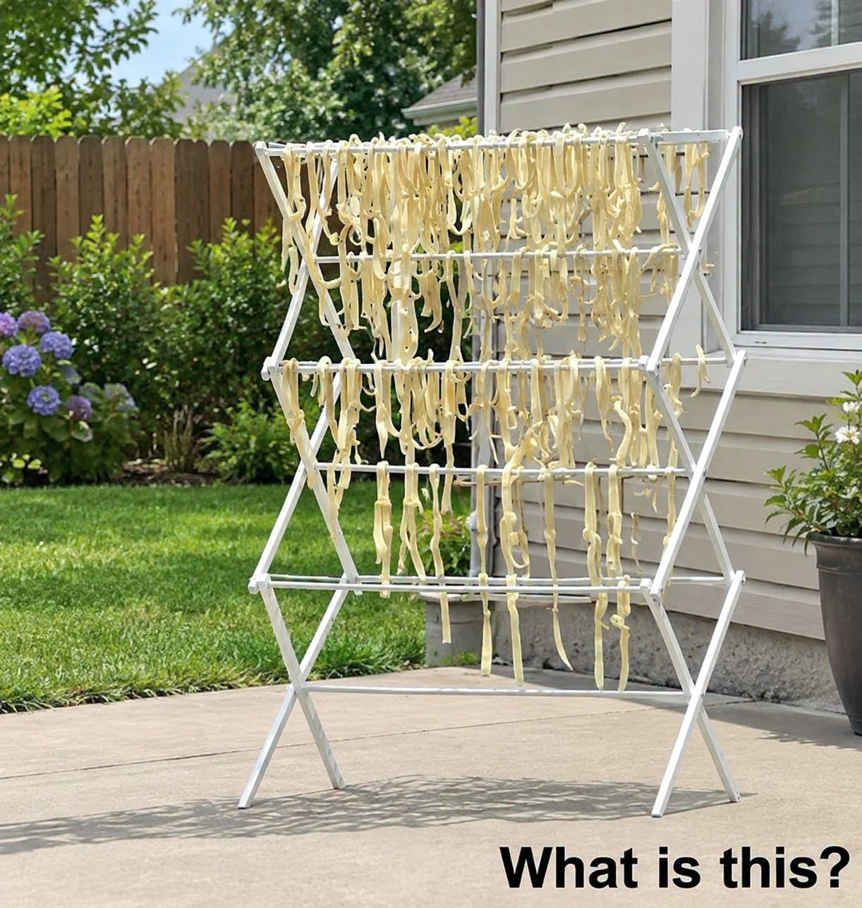 Why Homemade Pasta in a Neighbor's Yard Had Everyone Puzzled