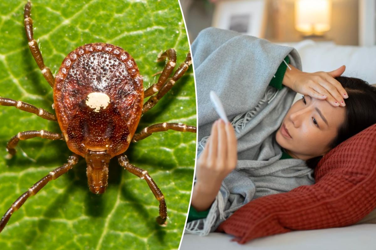 Why the Bourbon Virus Discovery in New York Is Causing Alarm