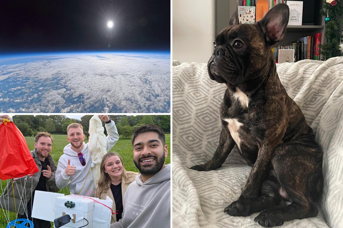 Heartfelt Tribute: Dog's Ashes Sent to Space for One Last Adventure