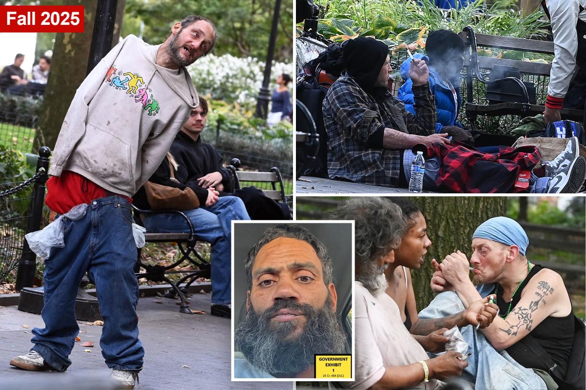 Washington Square Park's Alleged Drug Kingpin's Shocking Operation Revealed